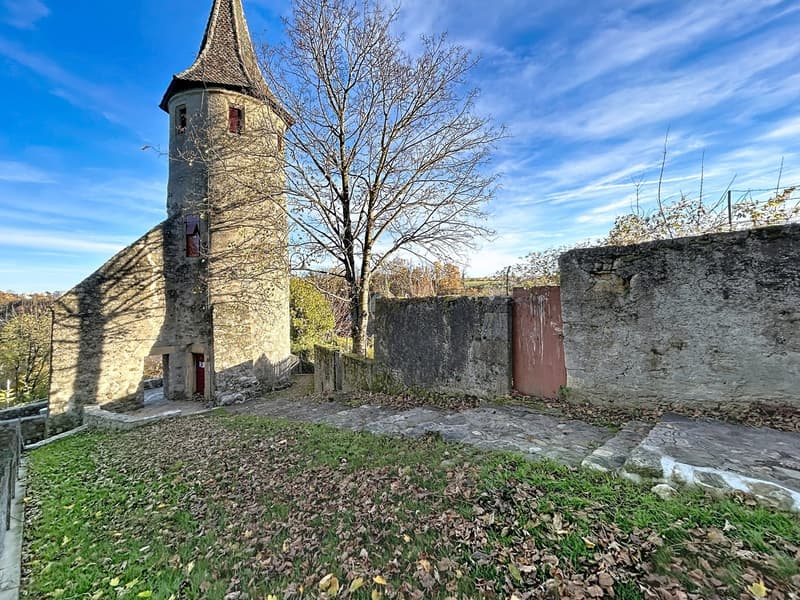Immeuble de 3 niveaux plus combles avec de très beaux jardins. (2)