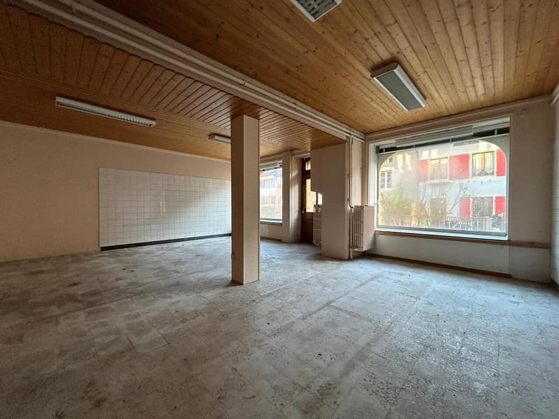 Immeuble de 3 niveaux plus combles avec de très beaux jardins. (5)