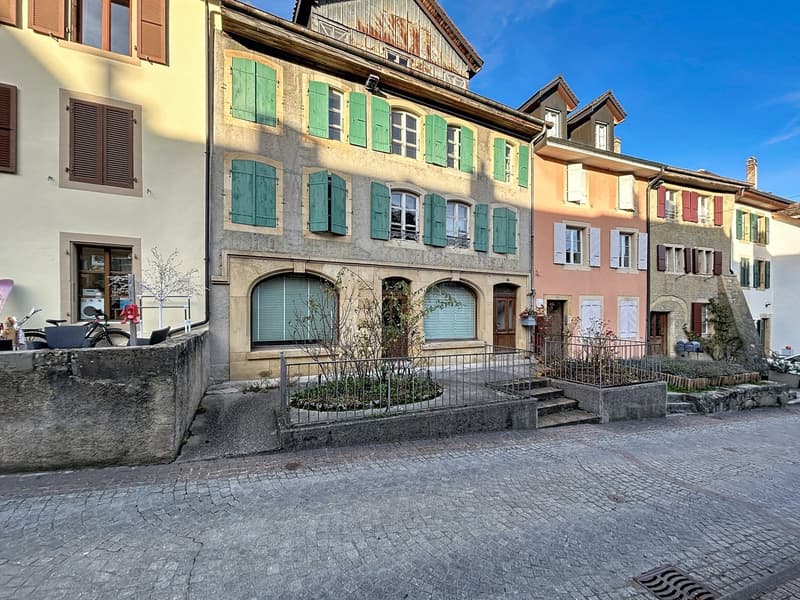 Maison de 3 niveaux plus combles avec de très beaux jardins. (1)