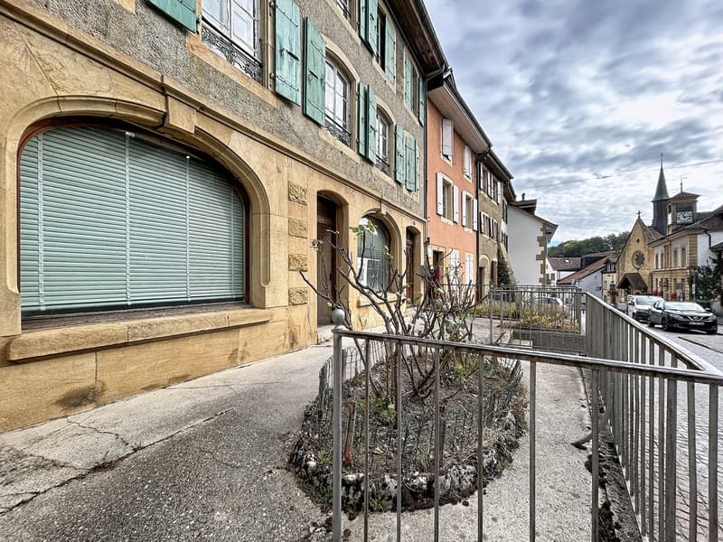 Maison de 3 niveaux plus combles avec de très beaux jardins. (1)