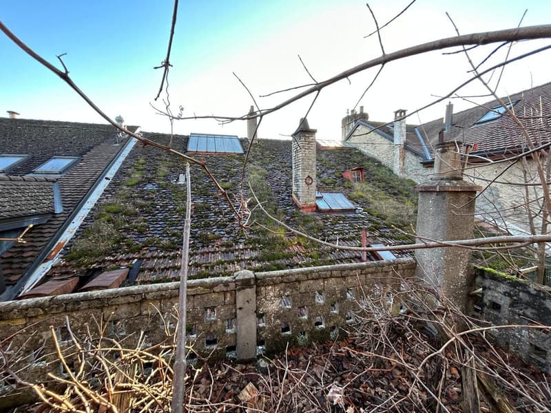 Maison de 3 niveaux plus combles avec de très beaux jardins. (3)