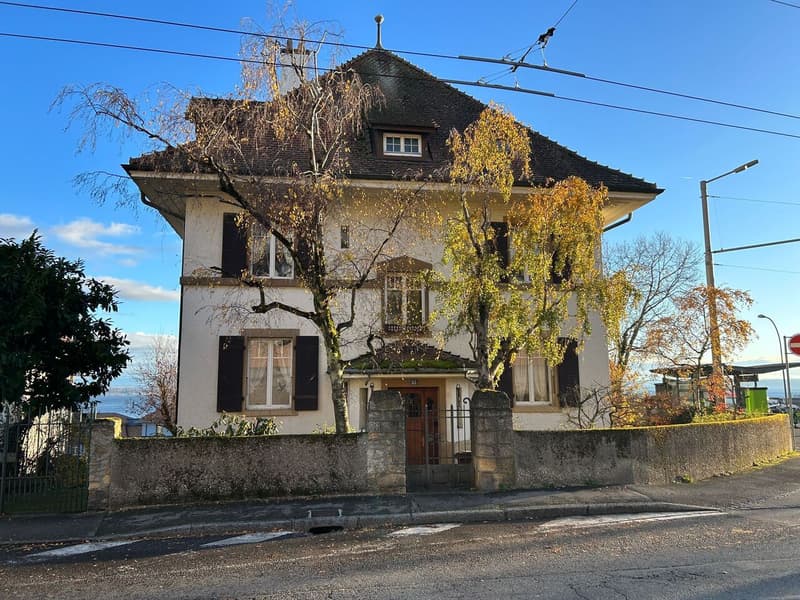 Maison de caractère de 3 appartements avec vue sur le lac (1)
