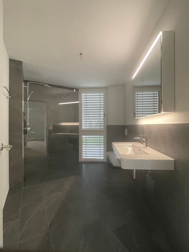 Moderne 3.5 Zimmer Wohnung (7)