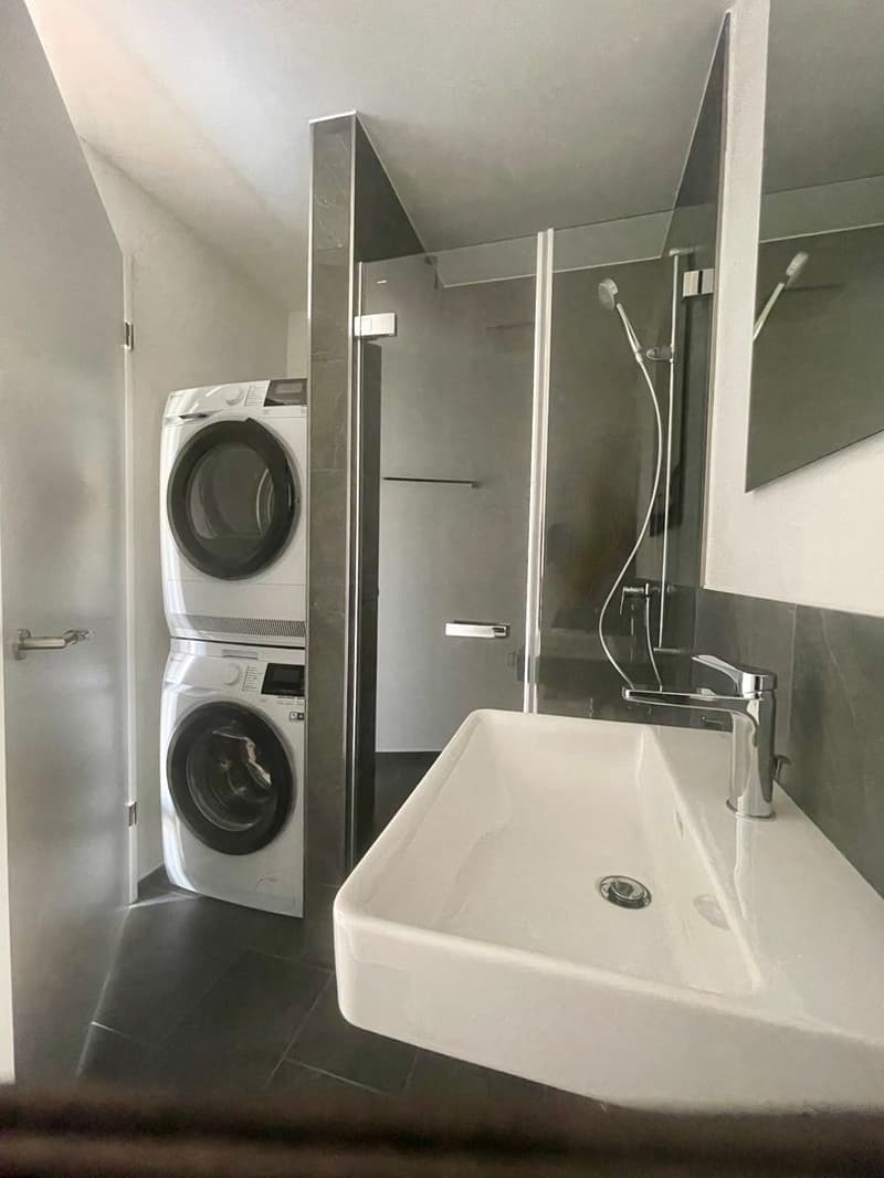 Moderne 3.5 Zimmer Wohnung (9)
