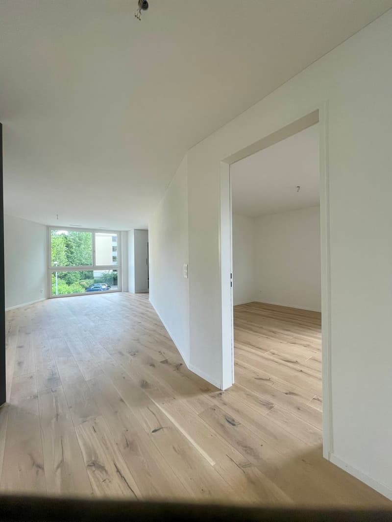Moderne 3.5 Zimmer Wohnung (5)