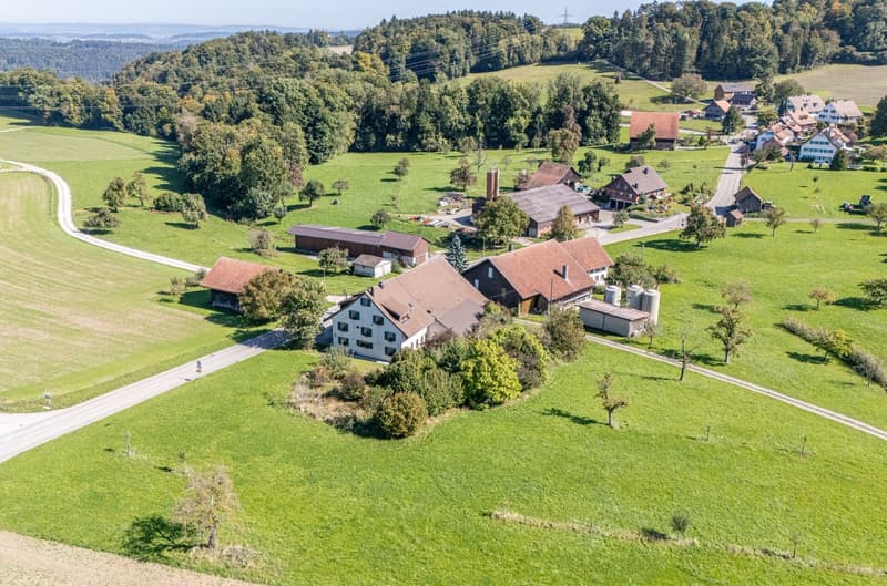 Idyllisches Wohnglück: Freistehendes 7.5-Zimmer-Bauernhaus mit Scheune (8)