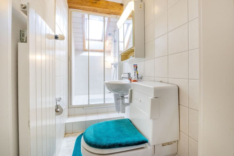 Idyllisches Wohnglück: Freistehendes 7.5-Zimmer-Bauernhaus mit Scheune (7)