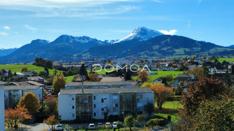 Attique contemporain 4,5 pièces, de 162 m2 avec vue panoramique sur le Moléson et jardin d'hiver (9)