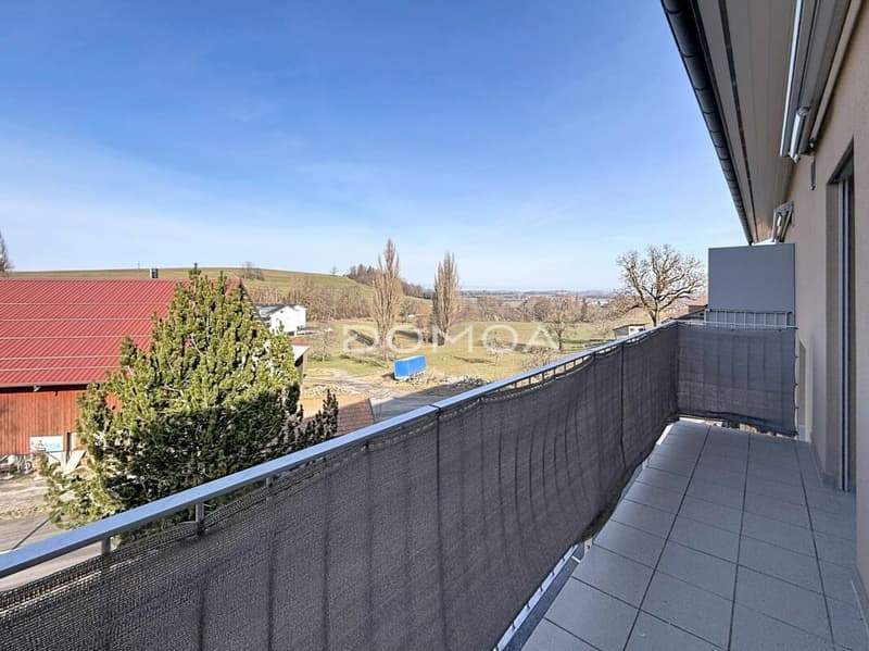 Appartement 3,5 pièces au dernier étage avec vue dégagée (8)