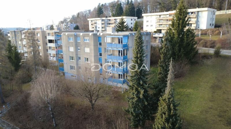 Appartement 4,5 pièces 115 m2 spacieux et lumineux ! (9)