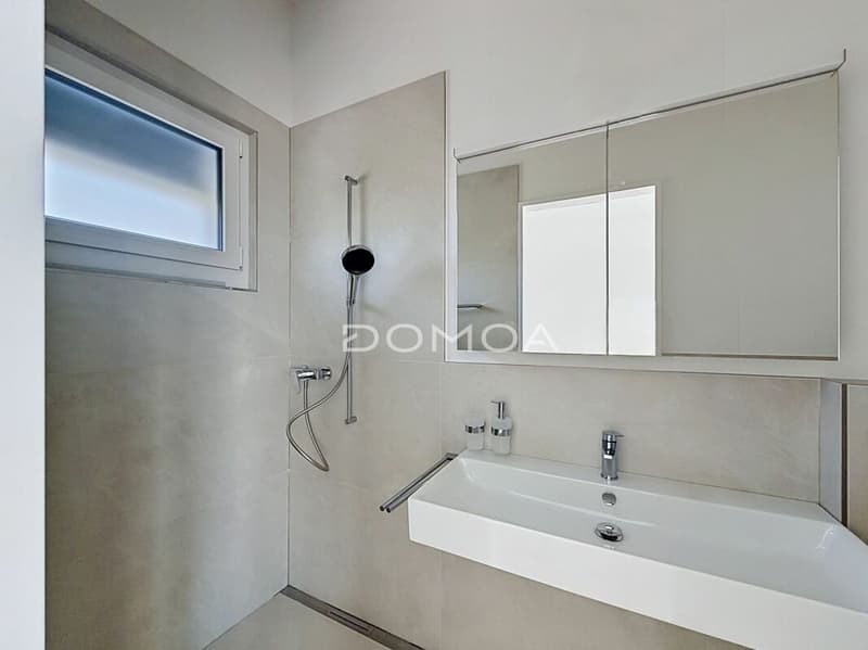Superbes villas (B) mitoyennes avec terrasses et jardin - 2/4 déjà vendues (10)