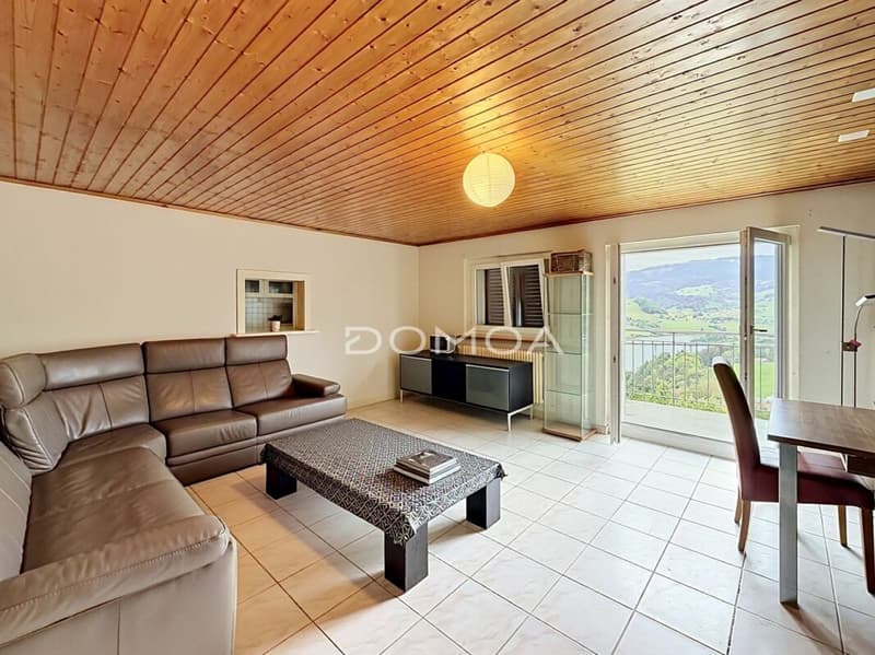 Appartement 4,5 pièces dans les combles avec balcon (3)
