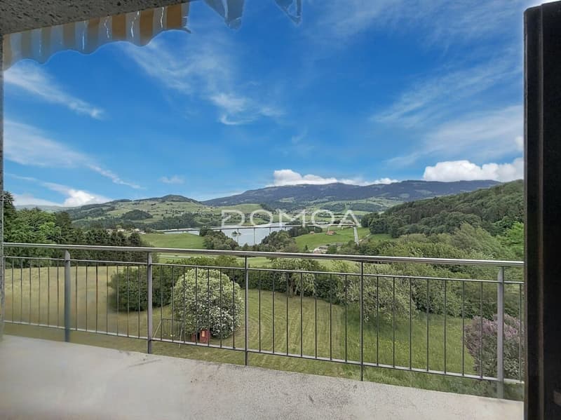 Appartement 4,5 pièces dans les combles avec balcon (8)
