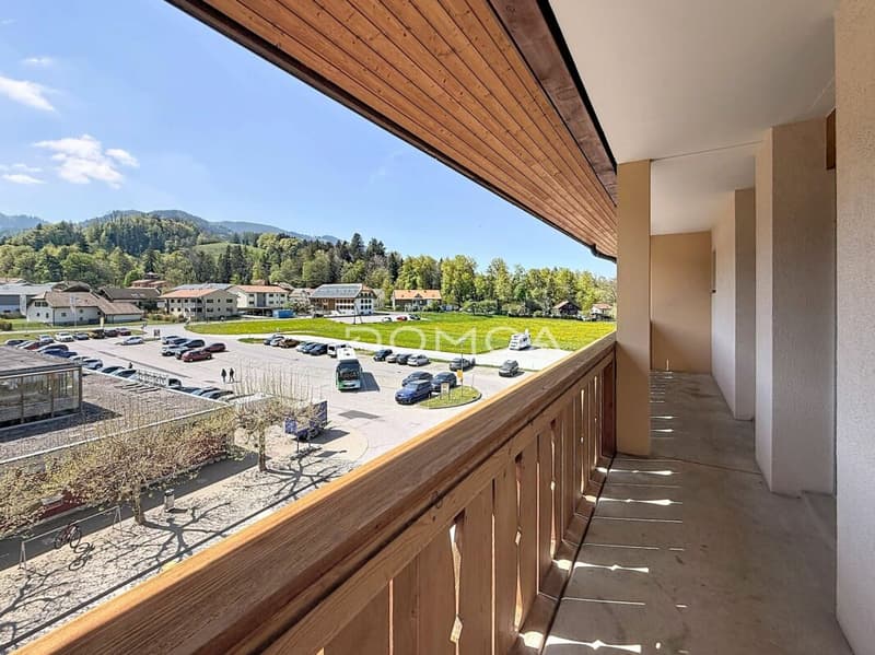 Appartement rénové avec vue sur le Moléson (7)