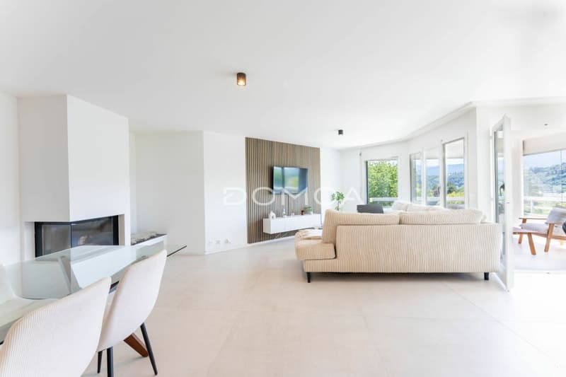 Attique 4,5 pièces rénové avec grande terrasse - Luminosité, cachet et confort ! (5)