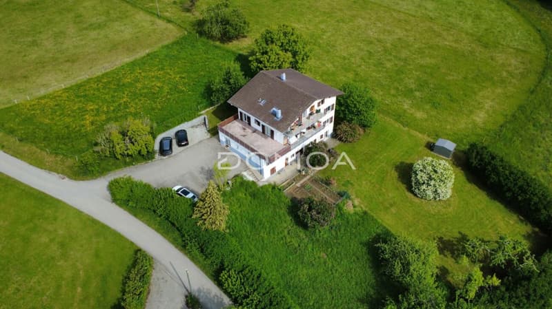 Appartement 5,5 pièces rénové avec rendement - Rez supérieur (8)