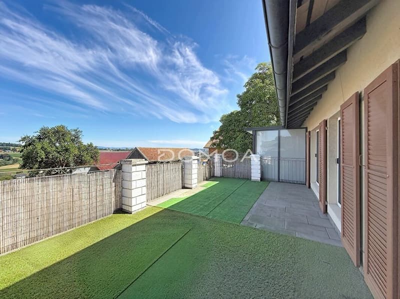 Charmant appartement de 3,5 pièces avec grande terrasse (10)
