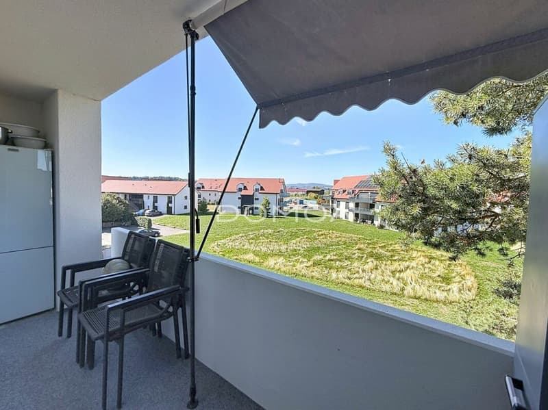 Bel appartement rénové de 4,5 pièces (10)
