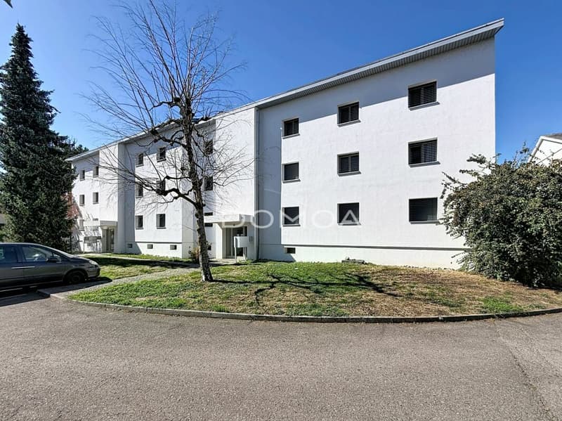 Bel appartement rénové de 4,5 pièces (12)