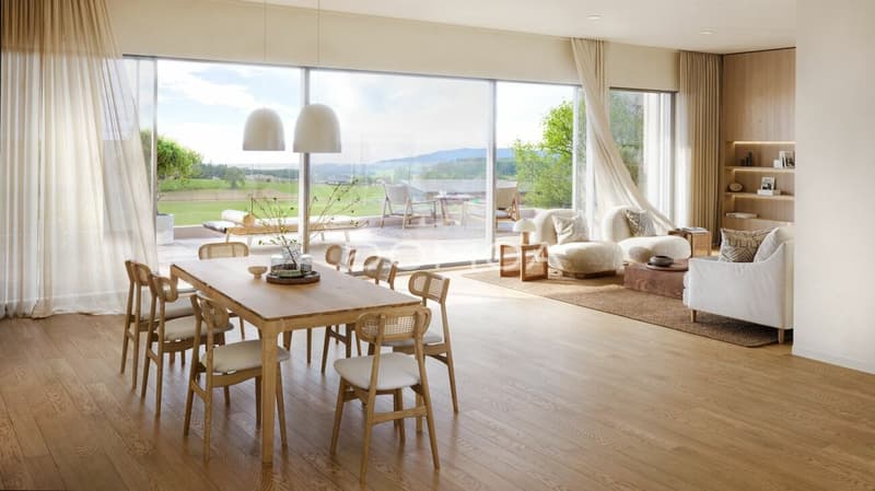 Superbes appartements neufs de 4,5 pièces en attique (3)