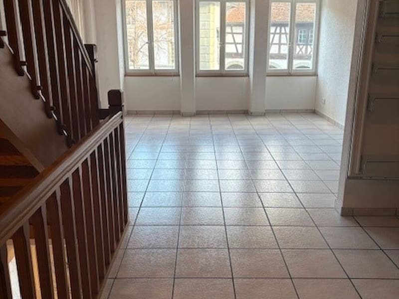 Wunderschöne Triplex-Wohnung in der Altstadt von Freiburg (4)