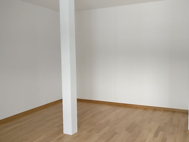 2.5 Zimmerwohnung im 3. Stock (6)