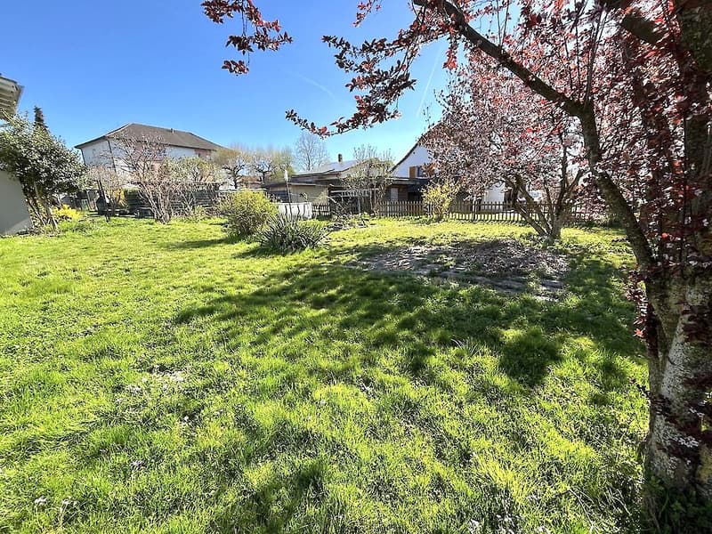 6.5 Zimmer-Haus mit Garten (3)
