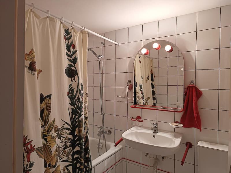 3.5 Zimmerwohnung in der Stadt Freiburg (11)