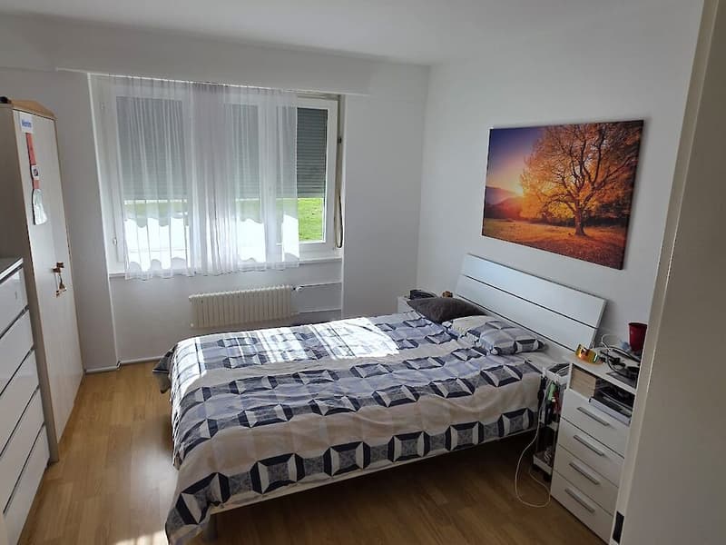 Charmante 3.5-Zimmer (8)