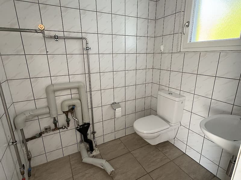 Gewerberaum in Schmitten (12)