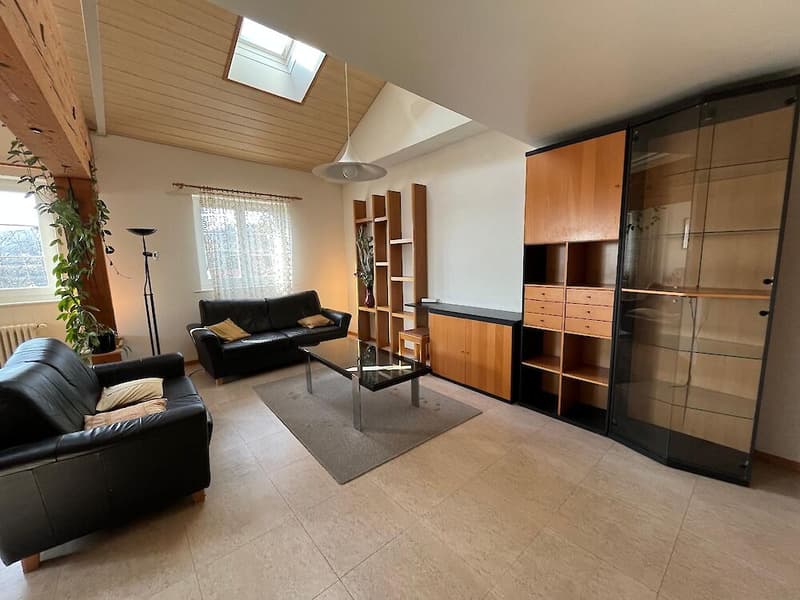 6.5 Zimmer zu vermieten (4)