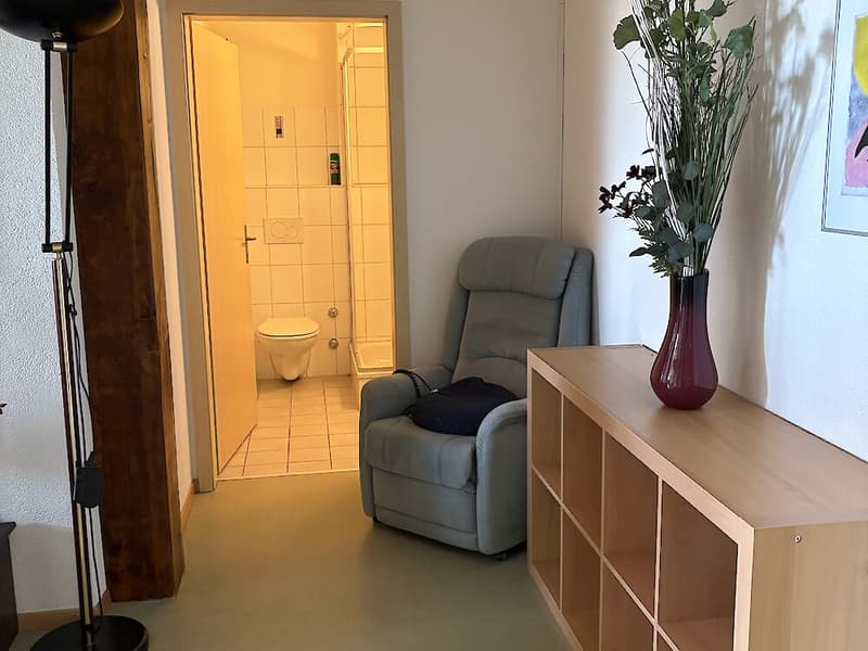 6.5 Zimmer zu vermieten (10)