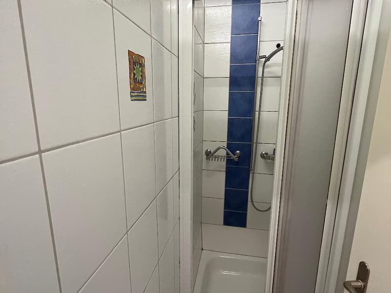 6.5 Zimmer zu vermieten (8)