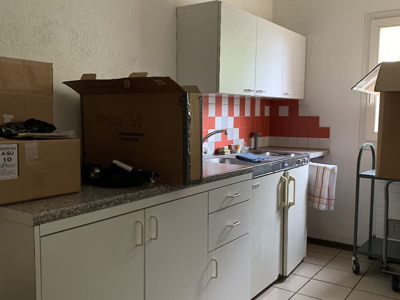Gewerbeliegenschaft zu vermieten (7)