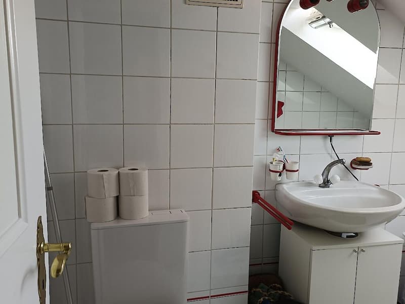 3.5 Zimmerwohnung in der Stadt Freiburg (10)