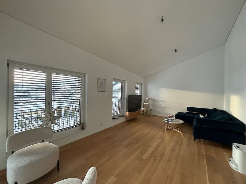 Moderne 4.5-Zimmerwohnung Attika im Herzen von Plaffeien (2)