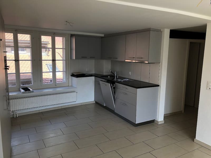 Grosse Duplexwohnung in Freiburg (6)