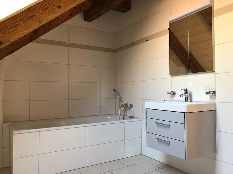 Grosse Duplexwohnung in Freiburg (9)