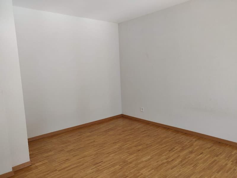 Wunderschöne Wohnung in der Nähe des Neuenburgersees (7)