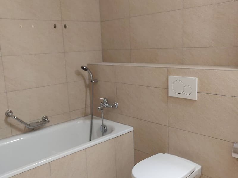 Wunderschöne Wohnung in der Nähe des Neuenburgersees (12)