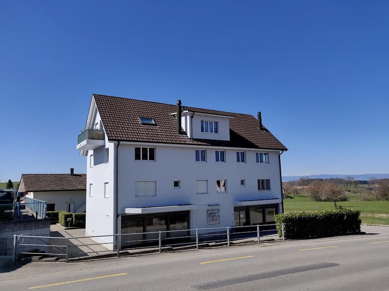 3,5-Zimmer-Wohnung im 1. Stock in Schmitten (1)