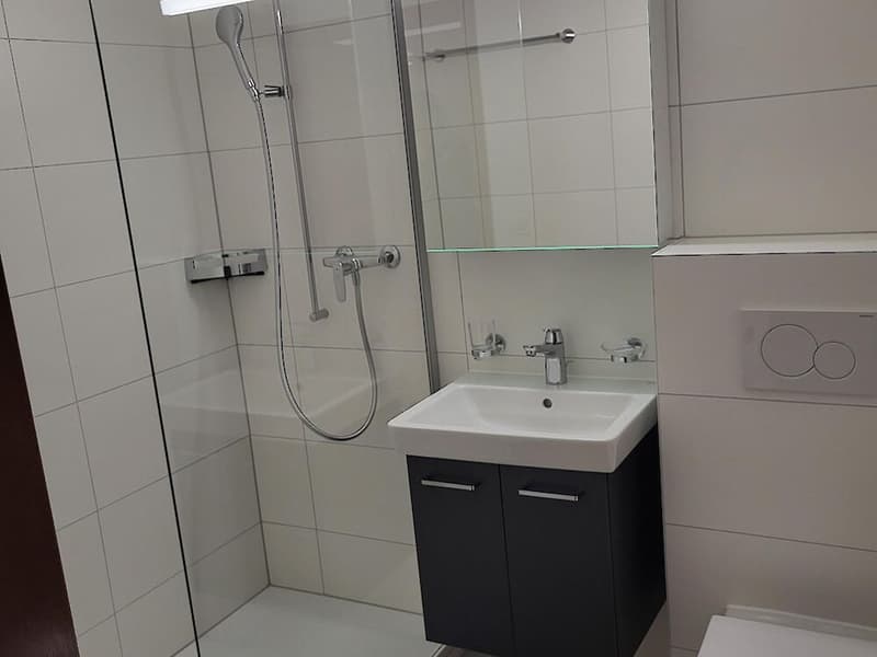 2.5 Zimmerwohnung in Givisiez (5)