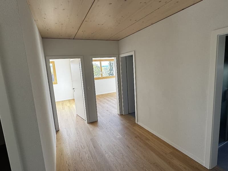 Neuwertige Wohnung an erhöhter Lage in Freiburg zu vermieten (12)