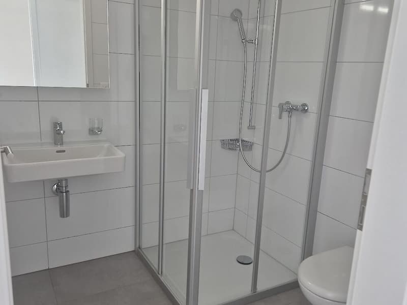 Moderne 4.5-Zimmerwohnung in Giffers zu vermieten (8)
