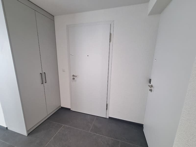 Neubau in Schmitten (6)