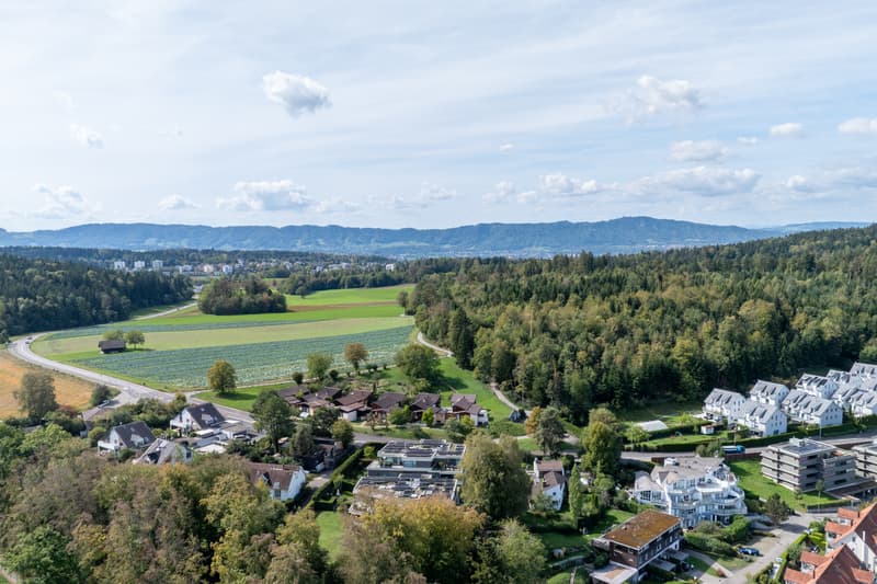 Web_Zollikonstrasse 23b, 8122 Binz_50 Kopie