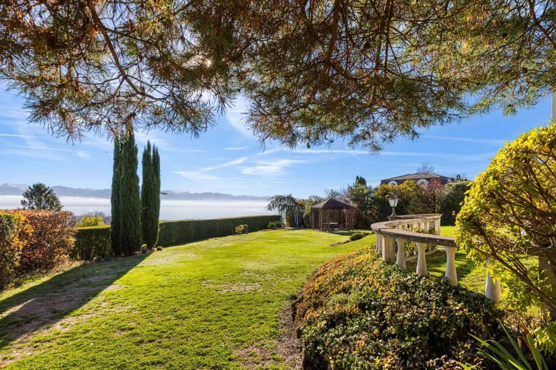 Élégante villa avec panorama sur le Léman et les Alpes (7)
