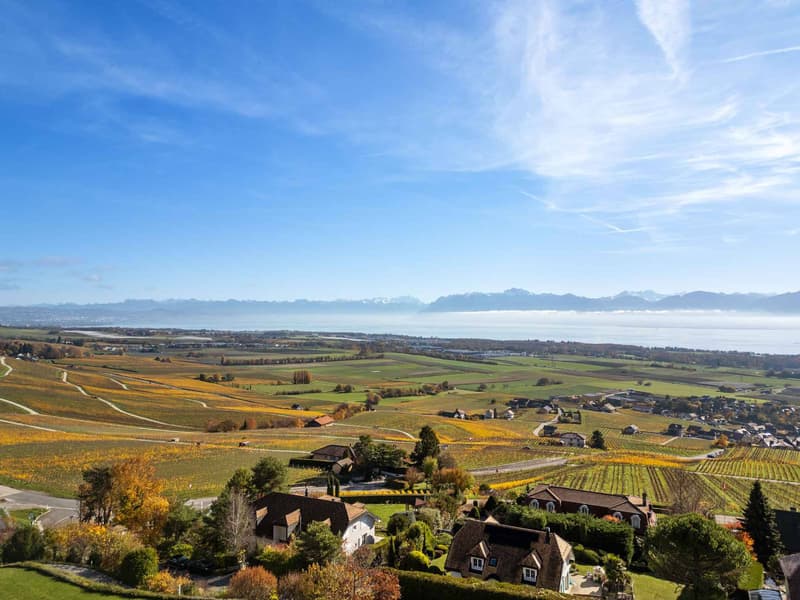 Élégante villa avec panorama sur le Léman et les Alpes (2)