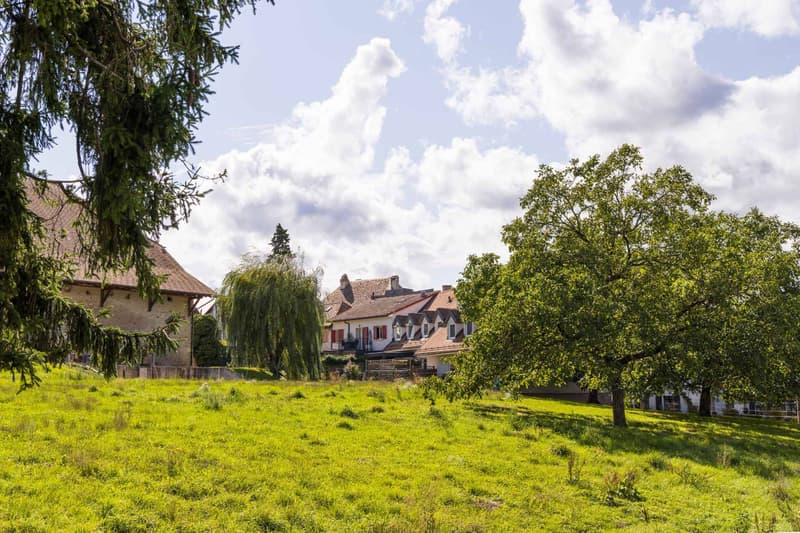 Triplex écologique et raffiné au cur de Perroy (11)