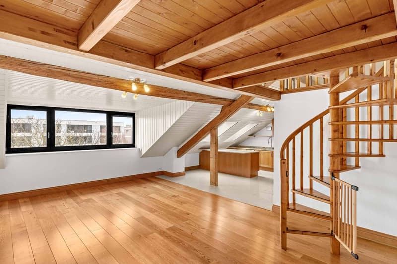 Appartement de caractère sous les toits  Meyrin centre (7)